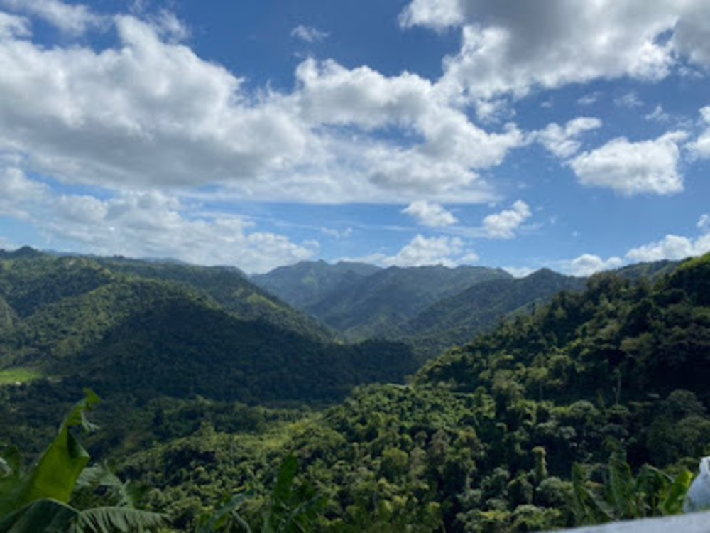 Meet your Posher, Cathia